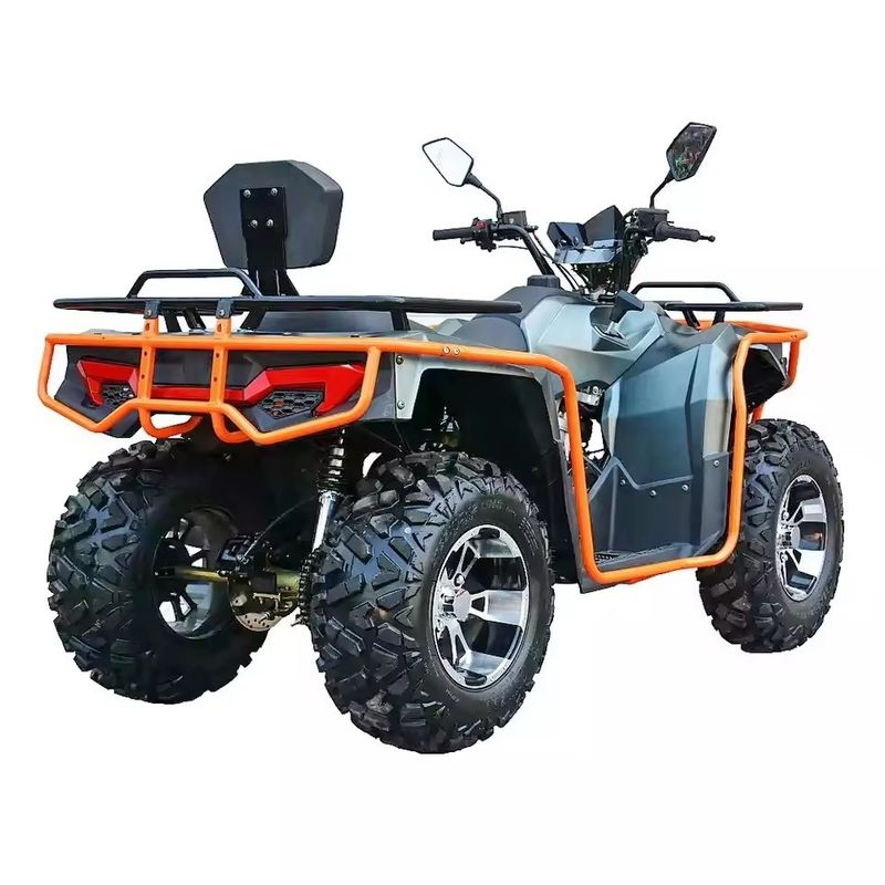 Moteur à 4 temps de type 12V Voltage Quad Bike 200cc 250cc 300cc Pour les adultes hors route