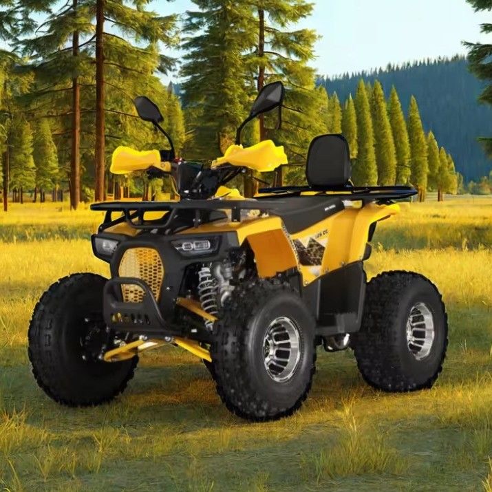 125cc Farm Quads ATV pour adultes Puissant moteur à gaz / diesel et chaîne motrice