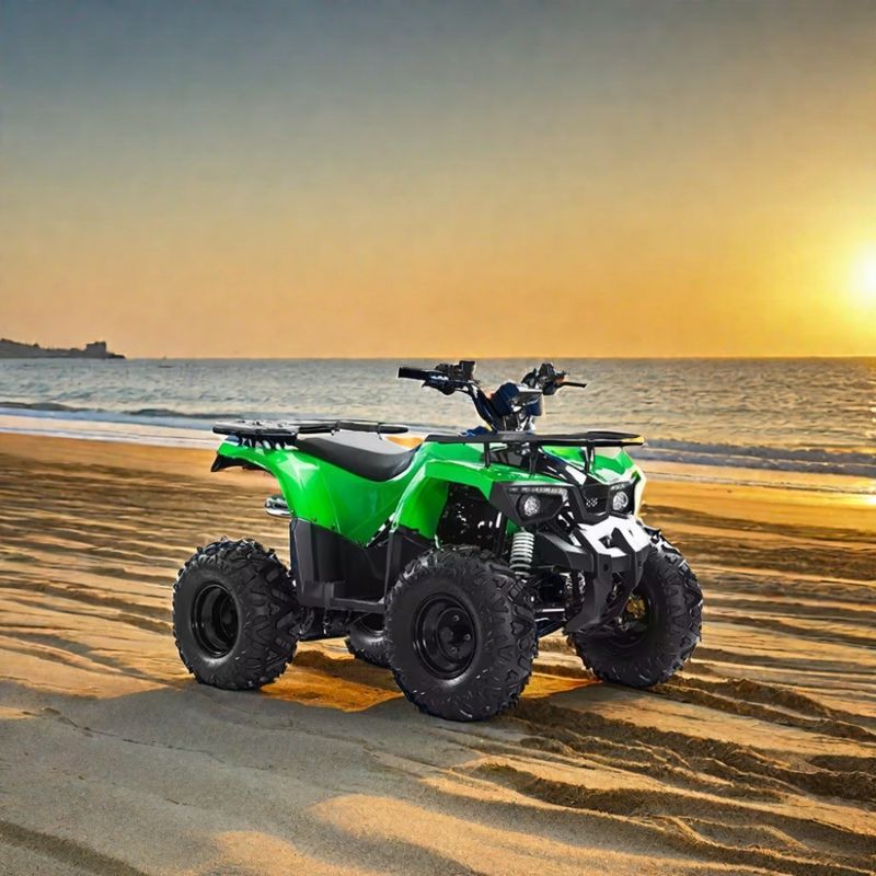 Transmission automatique Moteur Aotong 110cc 125cc 150cc Cuatrimoto ATV pour les adultes