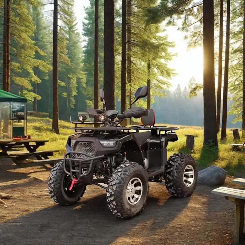 Velocité maximale de 50 à 75 km/h 125cc 150cc 200cc VTT UTV hors route Cuatrimoto