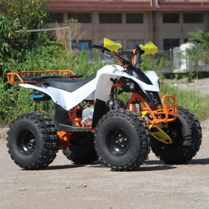 150cc 200CC 250CC Transmission automatique Quatre roues hors route Quad Bike ATV pour la montagne