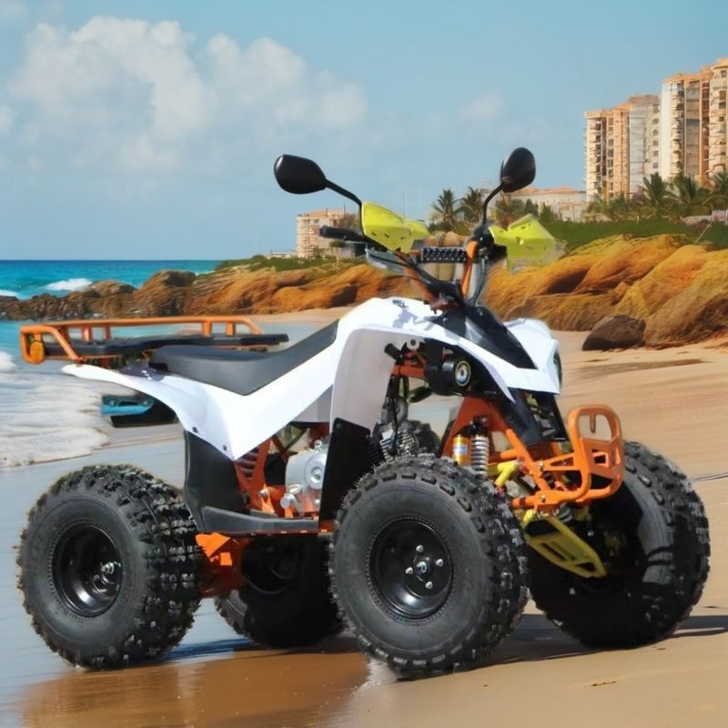 125/150cc 4 roues utilitaires VTT tambour avant système de freinage à disque arrière pour les besoins agricoles