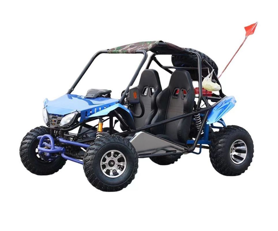 200cc Go Karts ATV Quad 2WD Buggy tout-terrain avec pneus sous vide et 200-300kg de poids au bord du gouvernail